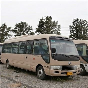 Land Ark New Energy Putnički automobil Pure Electric